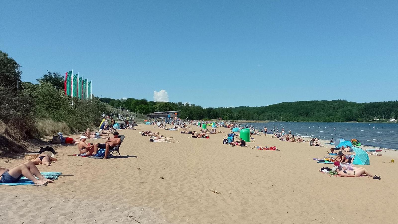 Sonnige Ferienwohnung I Harrislee Buitenkant foto